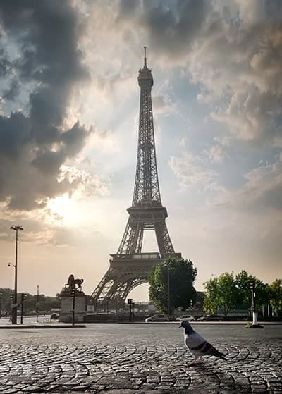 Chauffeur privé VTC Prestige pour découvrir Paris
